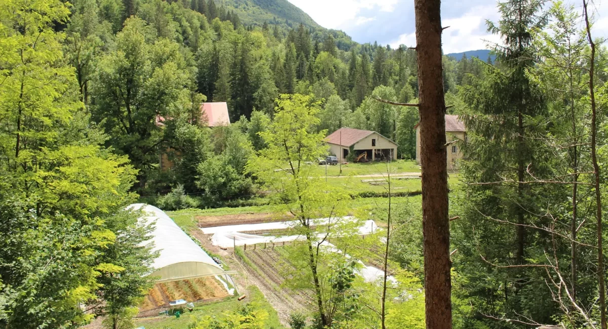 legumes-serre-ferme-rocheblanche-jura-rixouse-2022